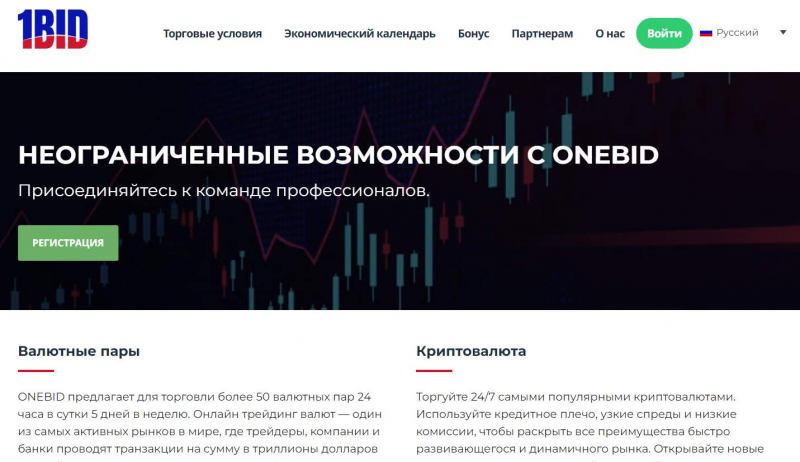 1BID: лживый Брокер или можно заработать? Скорее всего перед нами лохотрон и банальный развод.