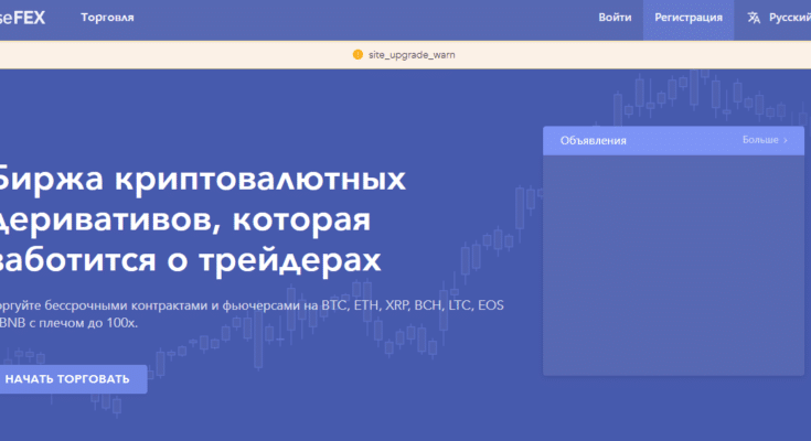 Отзывы о бирже Base Fex — платит или нет?