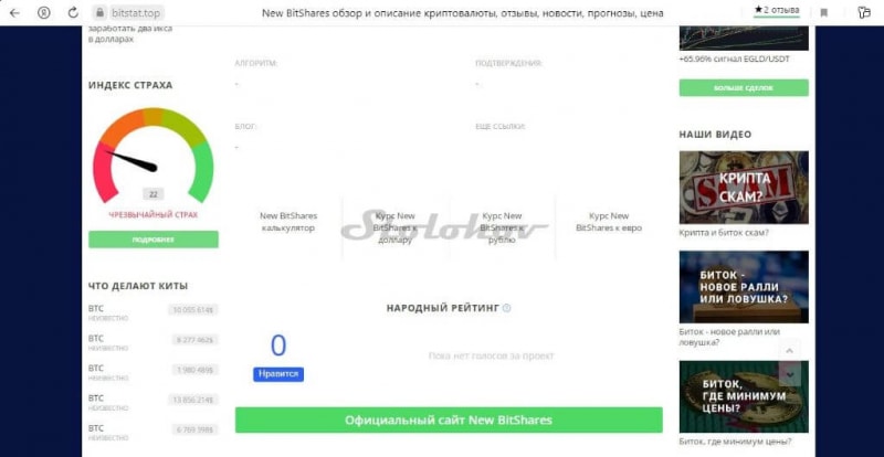 Реальные отзывы о New Bit Shares (NBS): честный обзор и вывод денег с блочейна