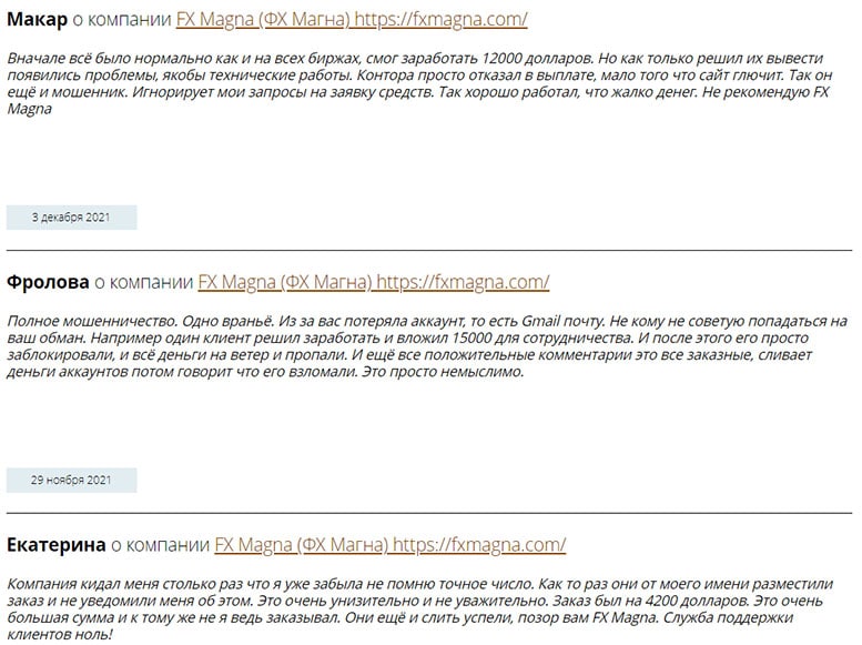 Брокер FXMagna – компания, которая на заслуживает доверия. Вся правда о проекте и отзывы.