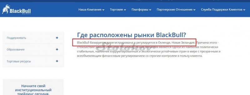 Отзывы о Black Bull Markets — мошенник или иностранный брокер?