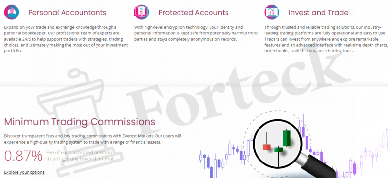 Брокер Everest Markets — обзор компании