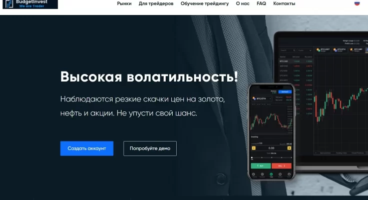 Budget Invest — Холдинговая компания. Платит?