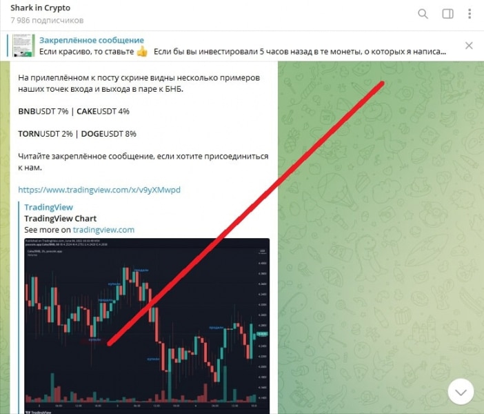 Shark in Crypto — отзывы о телеграм-канале трейдеров