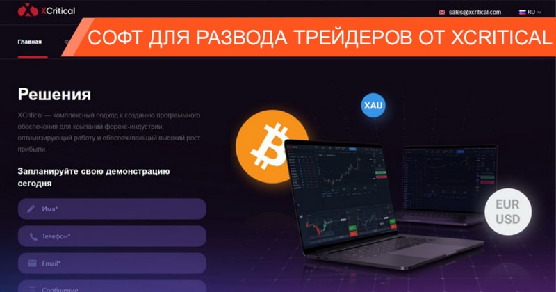 Всё, что стоит знать о торговой программе XCritical