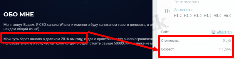 Whaler (whaler.pro) разоблачение дешевого лохотрона!