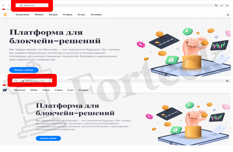 Bitlof (bitlof.com) клонированный обменник жуликов!