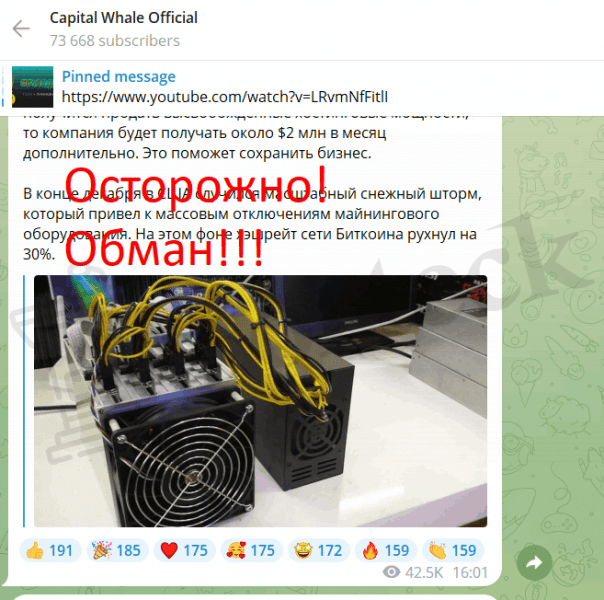 Capital Whale Official (t.me/capital_whale) вовлечение пользователей в пирамиду!