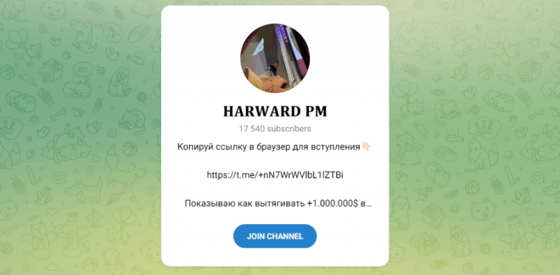 HARWARD PM (t.me/+nN7WrWVlbL1lZTBi) что о канале рассказывают реальные жертвы?