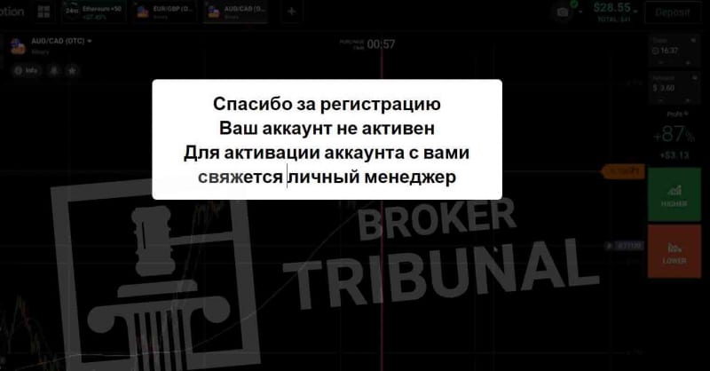 Пассивный доход в WhatsApp Business — щедрость Марка Цукерберга или приманка от жуликов?