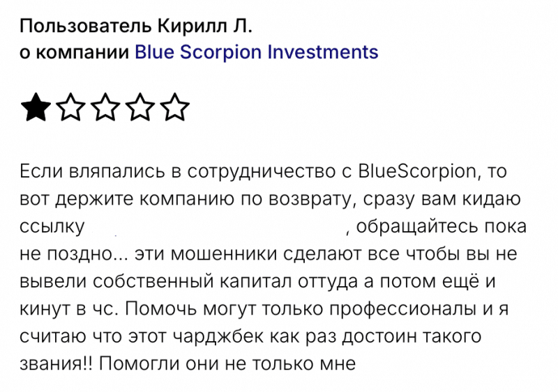 Blue Scorpion Investments