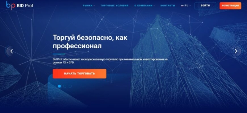 Брокерский проект Bid Prof (Бид Проф, bidprof.com)