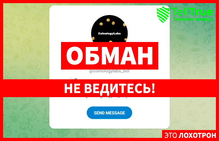 CoinologyLabs Bot (t.me/coinologylabs_bot) очередной бот аферистов!