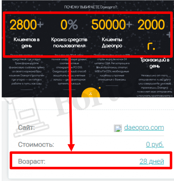 Daeopro (daeopro.com) почему нельзя работать с этим обменником?