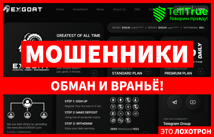 Exgoat (exgoat.com): обзор и отзывы