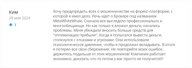 MetaWhiteWhale отзывы. Это развод?