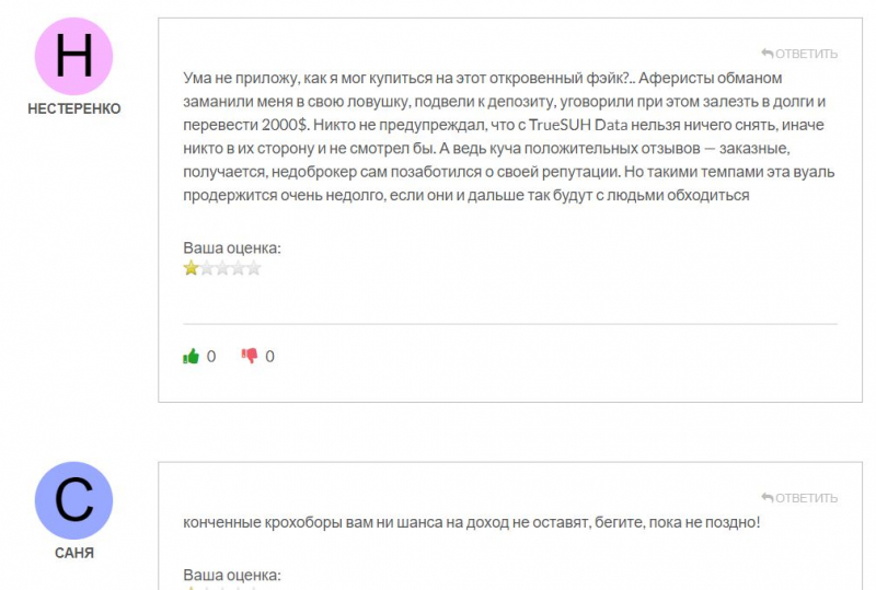 Обзор инвестиционной компании True Suh Data - уже не первый клон-лохотрон и однозначно развод.