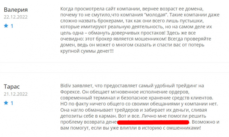 Обзор торговой компании Bidiv. Лохотрон и развод сразу на 1000 долларов или честный проект?