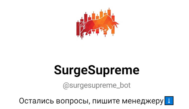 Остерегаемся. SurgeSupreme (t.me/surgesupreme_bot) — телеграмм бот от аферистов по пампу криптовалют. Отзывы пользователей